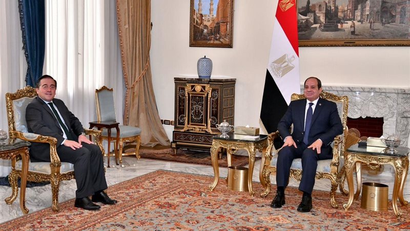 مباحثات الرئيس السيسي
