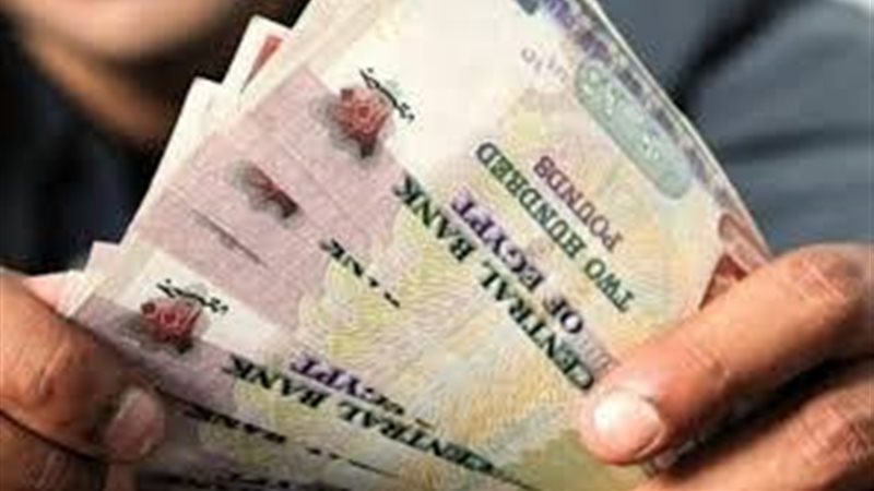 زيادة متوسط أجور