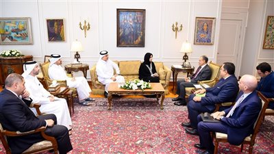 مصر وقطر.. وزير الخارجية يكشف سبب توقف المساعدات الإنسانية عبر معبر رفح