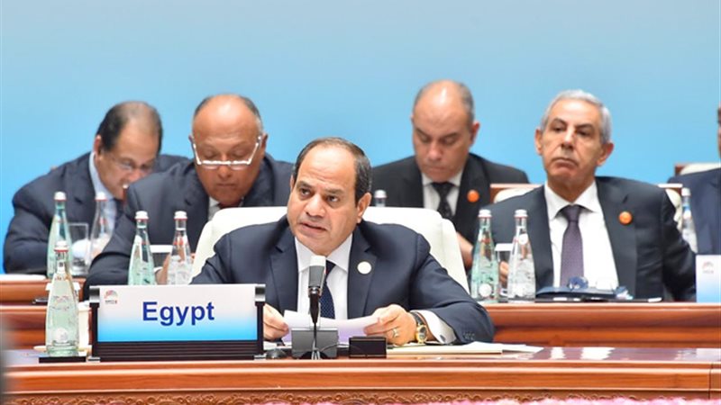 السيد الرئيس عبد
