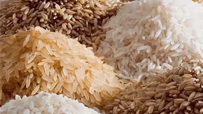 بعد انتهاء موسم الحصاد.. سعر طن الأرز الشعير اليوم الاثنين 4-11-2024 