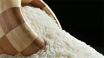 أسعار الأرز الشعير اليوم الجمعة 25 أكتوبر 2024.. الطن بكام؟