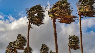 تحذير للمسافرين علي الطرق.. «رياح وشبورة مائية».. تفاصيل طقس الغد 