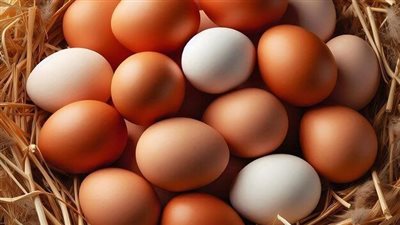 سعر كرتونة البيض اليوم للمستهلك 4 نوفمبر 2024 |تفاصيل