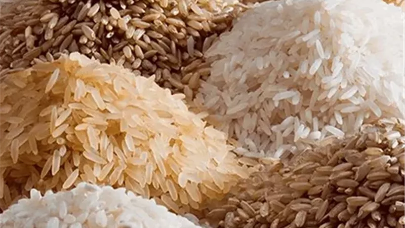 سعر طن الأرز الشعير