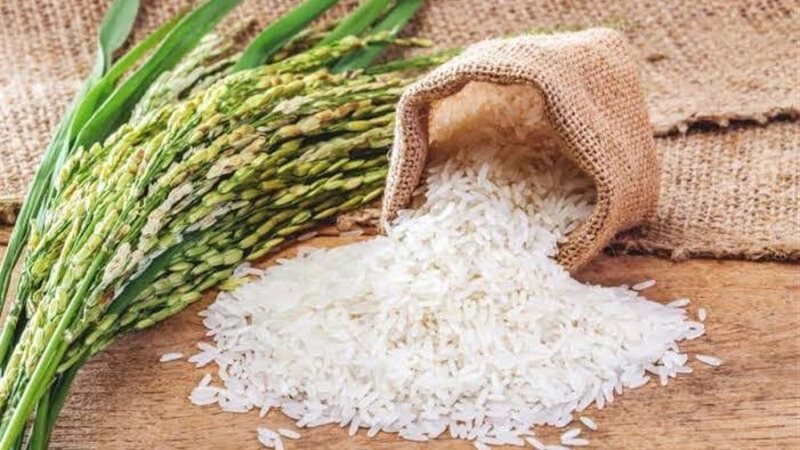 أسعار الأرز الشعير
