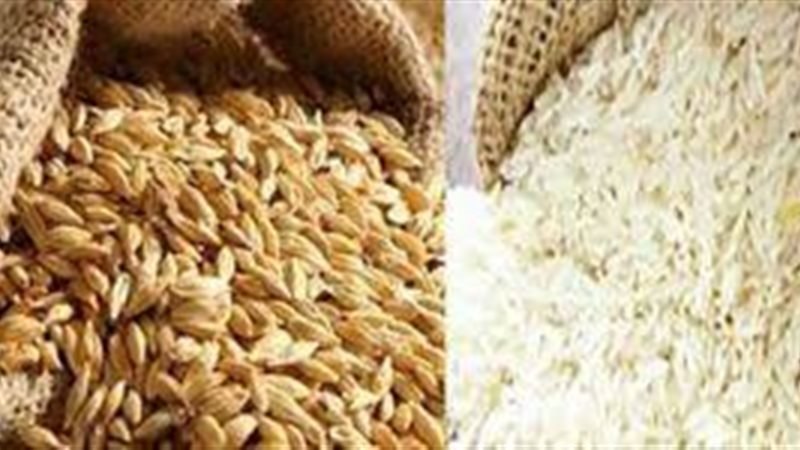 اسعار الارز