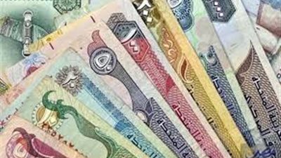 سعر الدرهم الإماراتي مقابل الجنيه المصري اليوم الثلاثاء 9 ديسمبر 2024