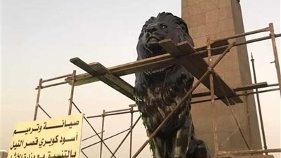 أسود قصر النيل تثير جدلًا جديدًا على السوشيال ميديا.. ما القصة؟