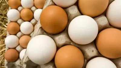 سعر كرتونة البيض في المحلات التجارية اليوم 21-11-2024 في بورصة الدواجن 