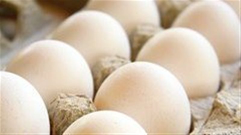 أسعار البيض من شعبة