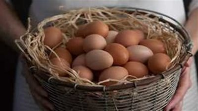 ماذا تعرف عن البيض التركي.. هل أرخص من المصري ؟ التفاصيل كاملة 