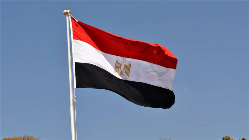 مصر-تشكيل لجنة الإسناد