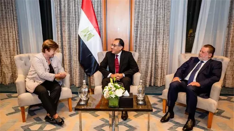 لقاء رئيس الوزراء