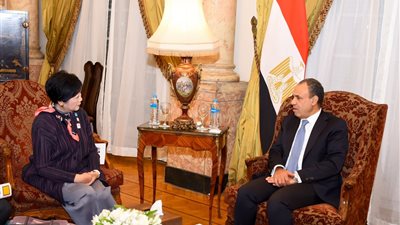 وزير الخارجية يزف بشري سارة حول الاستثمارات اليابانية في مصر