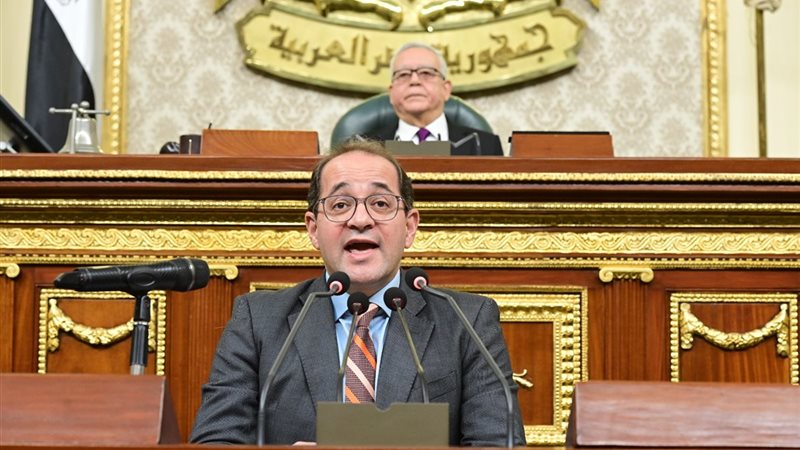 أحمد كجوك وزير المالية
