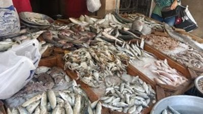 أسعار السمك والجمبري اليوم السبت 9-11-2024 في الأسواق  .. البلطي بكام انهاردة؟