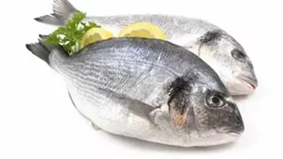 اعرف أسعار السمك و الجمبري اليوم الاثنين 11-11-2024 في الأسواق