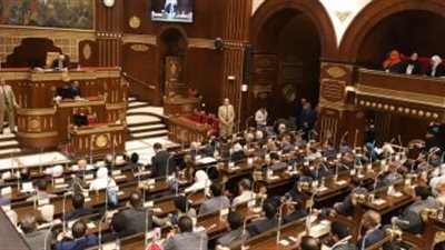 بحضور الوزير.. مجلس الشيوخ يطرح آليات حول تحقيق الانضباط في المدارس 