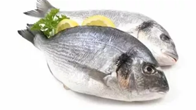 أسعار السمك اليوم