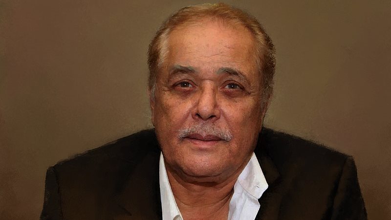 محمود عبد العزيز