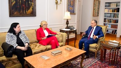 وزير الخارجية يطالب بإنفاذ المساعدات الإنسانية للفلسطينيين في قطاع غزة