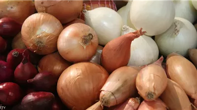  سعر البصل اليوم الخميس 14 نوفمبر 2024 فى الأسواق.. بكام الأحمر؟ 