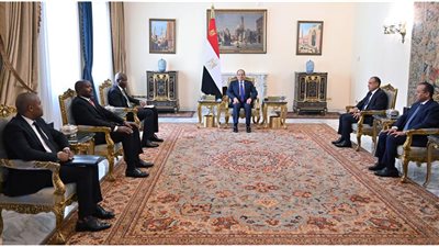 القضايا الأفريقية ومجموعة العشرين.. مباحثات ساخنة بين الرئيس السيسي ووزير جنوب أفريقيا