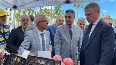 تفاصيل افتتاح أول أسواق اليوم الواحد في القاهرة اليوم الجمعة 15-11-2024