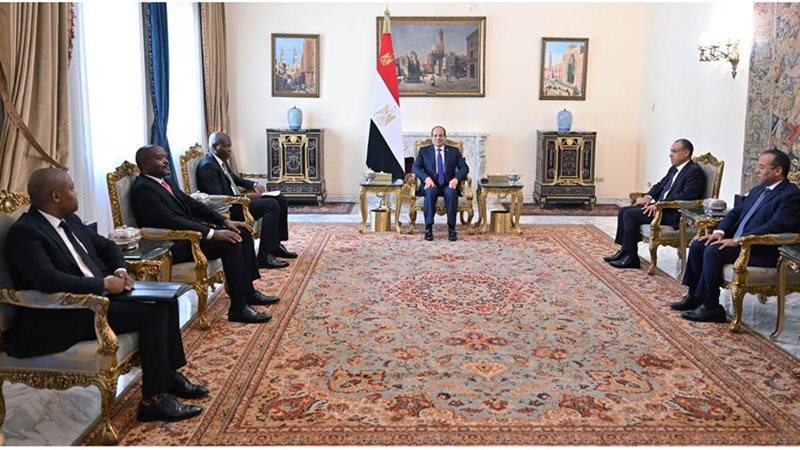 لقاء الرئيس السيسي