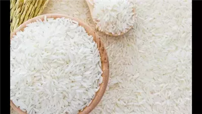 تعرف على سعر طن الأرز الشعير اليوم السبت 16 نوفمبر 2024 في الأسواق