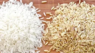 تعرف على آخر تحديث لـ سعر طن الأرز الشعير اليوم الخميس 21-11-2024 للمستهلك  