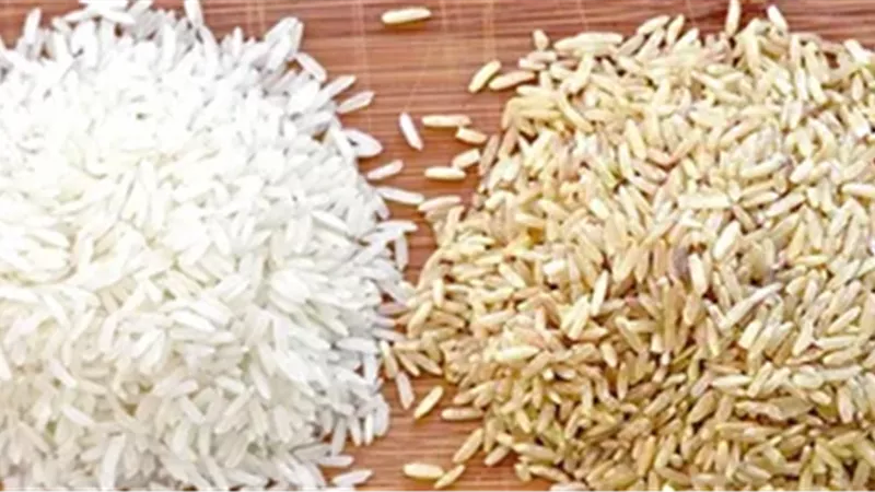 سعر طن الأرز اليوم