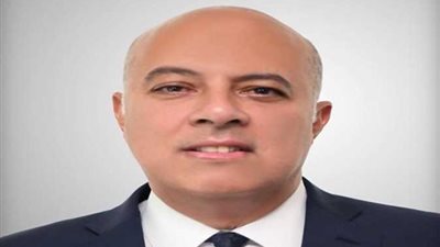 من هو السفير محمد الشناوي المتحدث الرسمي الجديد لرئاسة الجمهورية؟