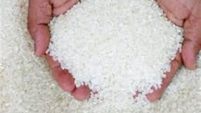 أسعار طن الأرز الشعير اليوم الاربعاء.. اخر التفاصيل 