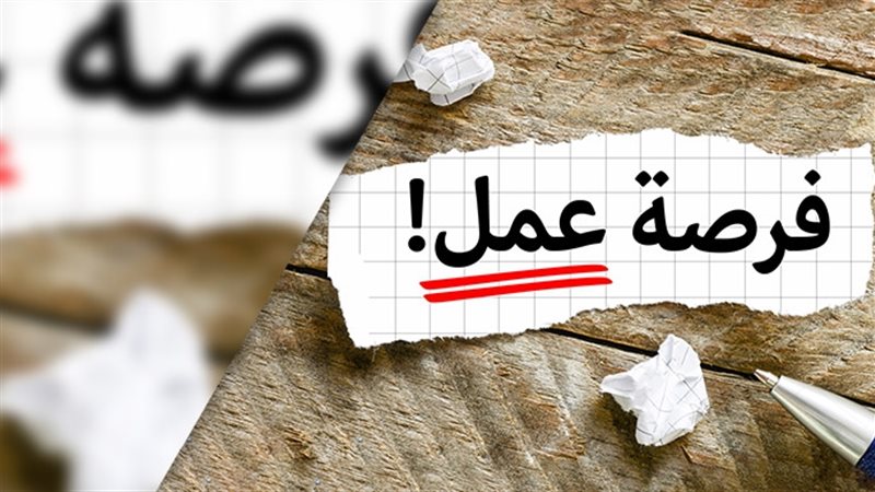 وظائف وزارة العمل