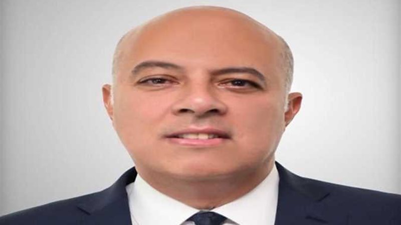 السفير محمد الشناوي