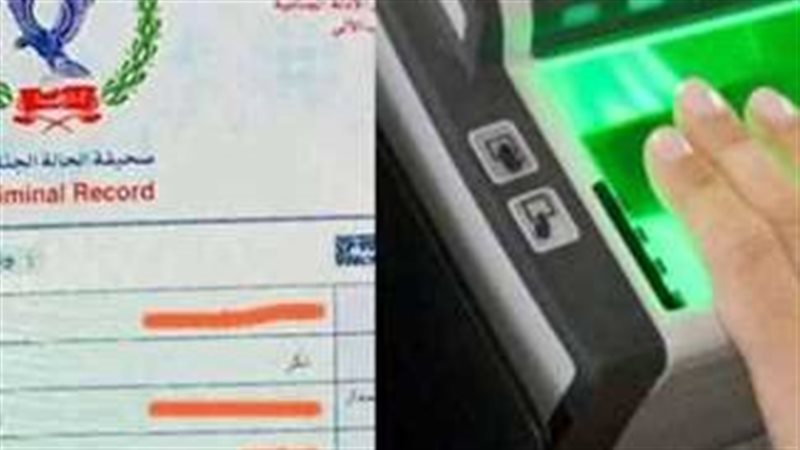 الفيش الجنائي