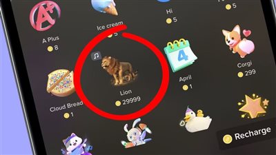 الأسد بكام؟.. أسعار هدايا التيك توك بالدولار بمختلف أنواعها 