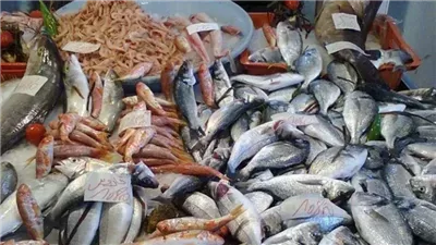 أسعار السمك والجمبري اليوم الثلاثاء 26 نوفمبر 2024