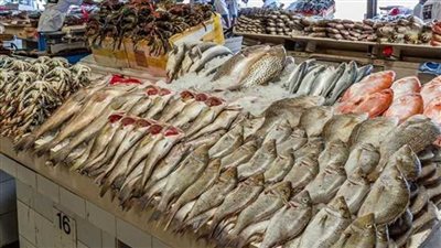 أسعار السمك والجمبري اليوم الأربعاء 27 نوفمبر 2024