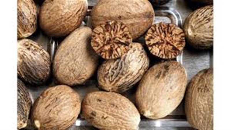 حكم جوزة الطيب