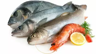 أسعار السمك والجمبري اليوم الثلاثاء 3-12-2024 