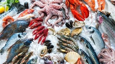 السمك إتجنن.. تغيرات ملحوظة في أسعار السمك اليوم..إرتفاع في كافة المأكولات البحرية 