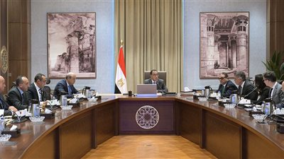 تحالف مصري- فرنسي يقترح إدارة وتشغيل المطارات ضمن برنامج الطروحات الحكومية