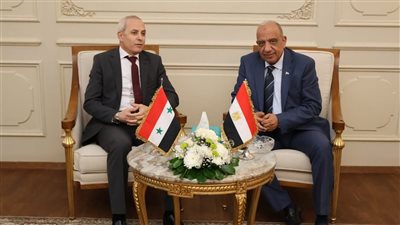 دعم شبكة الطاقة في سوريا.. أولويات وزير الكهرباء بالمجلس الوزاري العربي