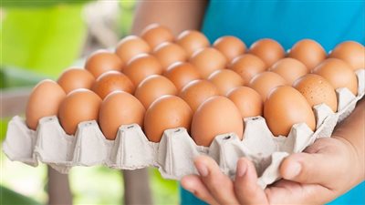 ننشر سعر كرتونة البيض اليوم وتحركات أسعار الدواجن في الأسواق