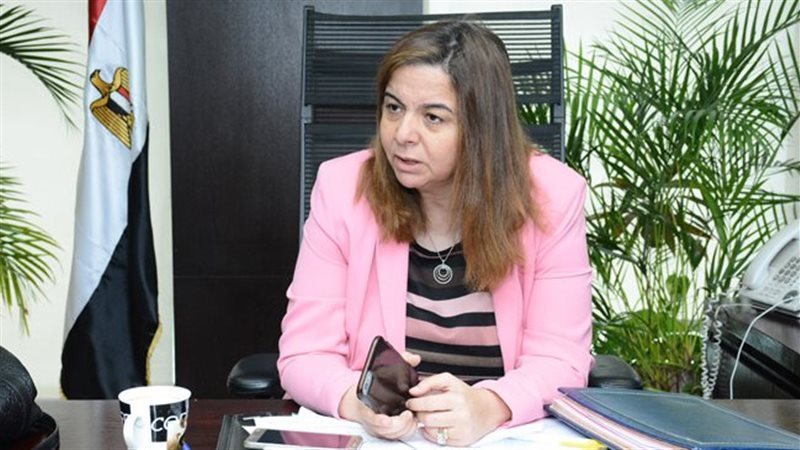 رئيس صندوق الإسكان