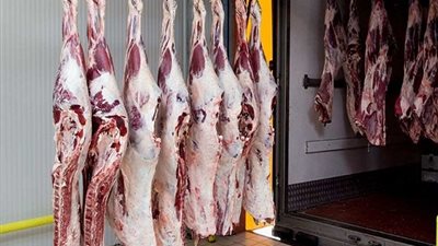  أسعار اللحوم اليوم الاثنين 2-12-2024 ..  الكبدة بـ400 والبقري بـ280 جنيهًا