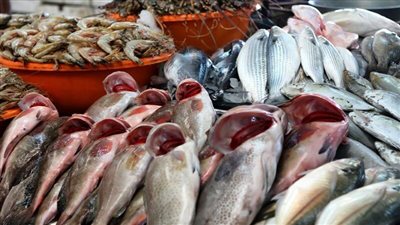 بشرى سارة.. شهدت أسعار السمك اليوم الخميس انخفاضاً ملحوظاً في كافة الأسواق 